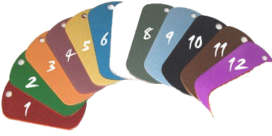 Enravable Tag Color Sample